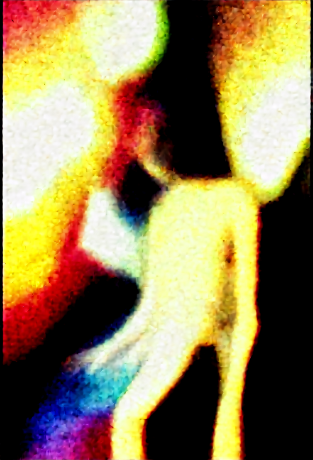 QI-2512_01555_.png