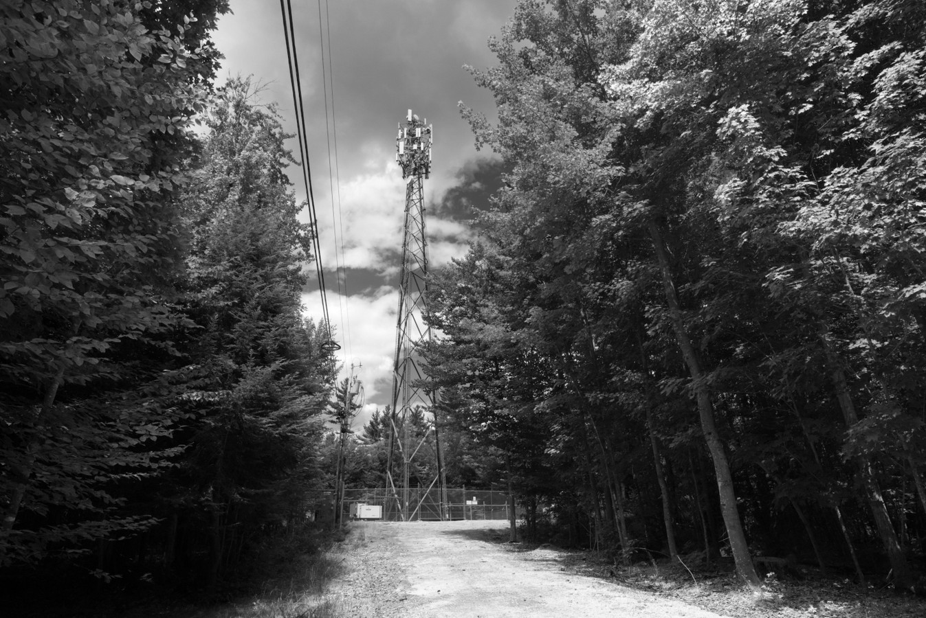 Cell-Tower-BEST.jpg
