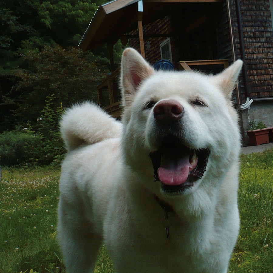 Moki-Film-Grain-Fuji-1080px.JPG