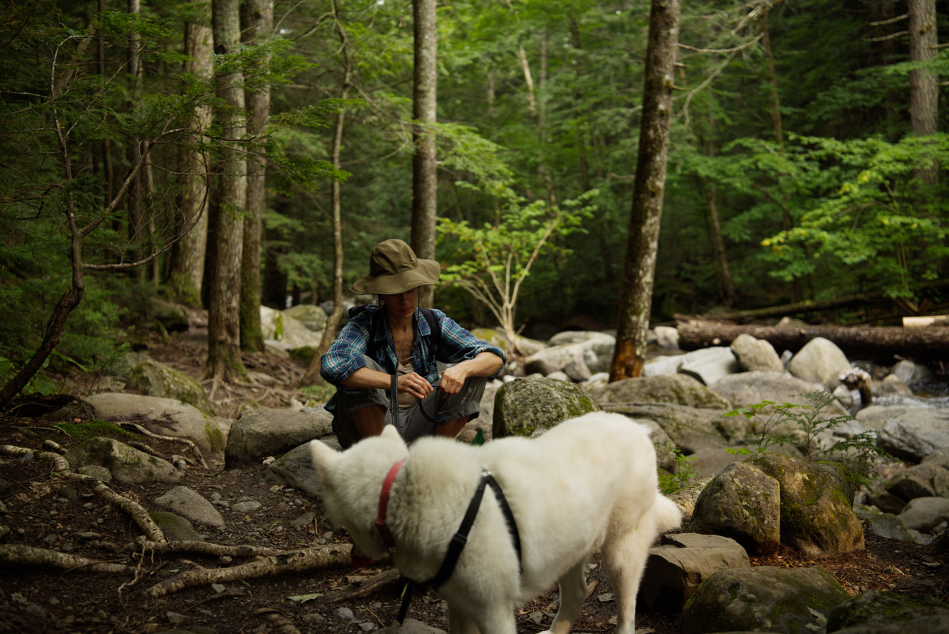 Reed-Trail-Kingfield.jpg