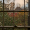 DSC00620.jpg