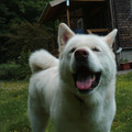 Moki-Film-Grain-Fuji-1080px.JPG