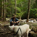 Reed-Trail-Kingfield.jpg
